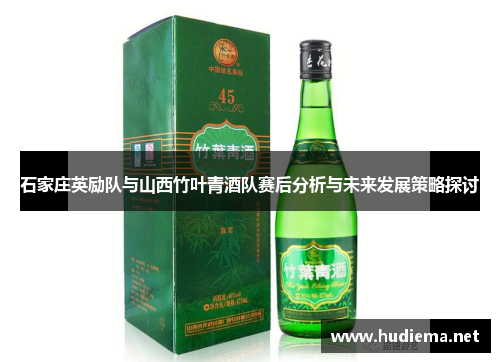 石家庄英励队与山西竹叶青酒队赛后分析与未来发展策略探讨