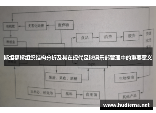 斯坦福桥组织结构分析及其在现代足球俱乐部管理中的重要意义 斯坦福桥组织结构分析及其在现代足球俱乐部管理中的重要意义